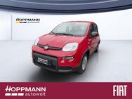 Fiat Panda, Base, Jahr 2022 - Gummersbach