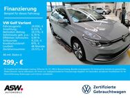 VW Golf Variant, 1.0 TSI Life MOVE, Jahr 2024 - Neckarsulm