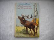 Herbstfreuden im Försterhaus,Erich Kloss,Schneider Verlag,1950 - Linnich