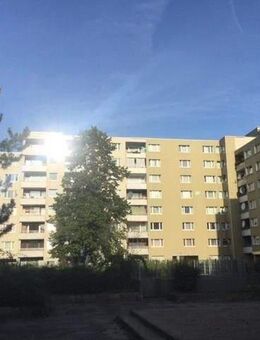 Perfekt für Familien: frisch sanierte 4-Zimmer-Wohnung - Bonn