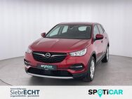 Opel Grandland X, 1.6 Elegance Hybrid, Jahr 2021 - Uslar