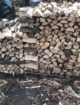 Brennholz Ofenholz - Flieth-Stegelitz