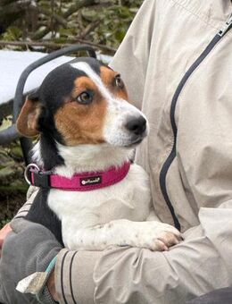 Ich heiße Viktor ... mit Video - Frankfurt (Main)