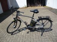 Ebike Giant Twist Freedom GTS 2 - Leverkusen