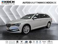 Skoda Superb, 2.0 TDI Combi PREMIUM EDITION, Jahr 2020 - Neuruppin