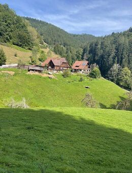 Traumhaftes Grundstück in Alleinlage mit Mehrfamilienhaus und historischen Bauernhaus - Oberwolfach