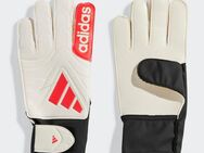 adidas Performance Torwarthandschuhe COPA GL CLB