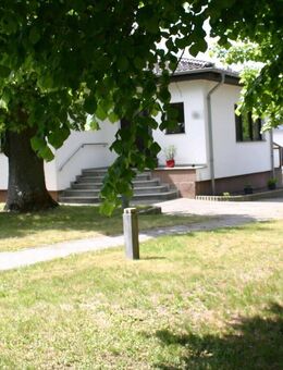 Modernes Wohnen auf 228m² Wohnfläche mit viel Nutzfläche auf großem Grundstück in Lebus - Lebus
