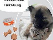 kostenlose Beratung zum Futter bei Hunden und Katzen - Duisburg