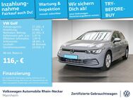 VW Golf, 2.0 TDI VIII Life Gar 2029, Jahr 2024 - Mannheim