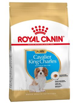 Royal Canin Cavalier King Charles Puppy - 1,5 kg