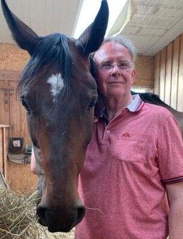 gut*** - Menden (Sauerland)