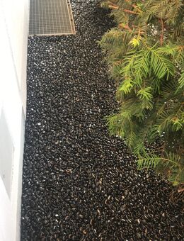 Bindemittel für Kies, Schotter, Mulch - flüssig - Peißenberg