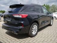 Ford Kuga 2.5 Plug-in-Hybrid PHEV ST-Line X PANO - Halle (Saale)