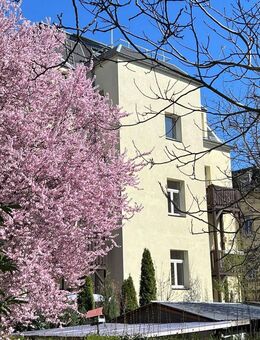 * Kleine gemütliche Mansardenwohnung - ID 6529 * - Dresden