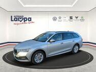 Skoda Octavia, 2.0 TDI Combi Ambition dig, Jahr 2024 - Lengerich (Niedersachsen)