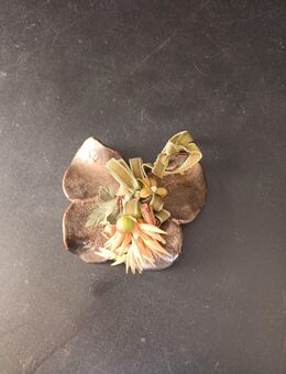 Keramik Schmetterling Wanddekoration Deko aus Keramik braun Naturmotive ca. 9x9 - Essen