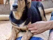 Gigi ist auf der Suche nach der Zukunft - Koblenz