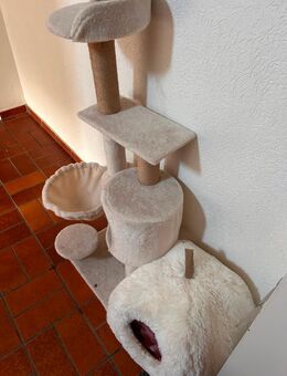 Kratzbaum und Höhle katze - Lohmar
