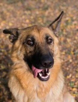 FENTE - aktiv unternehmungslustig - Overath