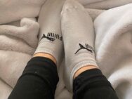 Stinke Socken - Hamburg