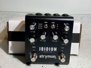 Strymon Iridium - Ronnenberg
