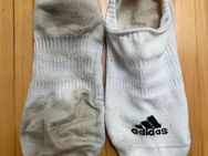 Weiße getragene Adidas Sneaker Socken - Passau