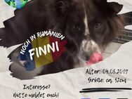 FINNI-hat immer ein offenes Ohr für Dich - Waakirchen