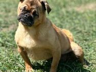 💔 Maugli winzig, blind und voller Leb - Kassel