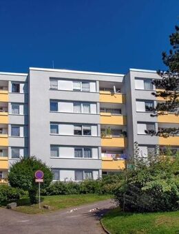 Ab sofort frei! renovierte 2-Zimmer-Wohnung mit Balkon in Kreuztal - WBS erforderlich - Kreuztal