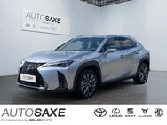 Lexus UX 250h, F SPORT Design Bi, Jahr 2023 - Leipzig Alt-West