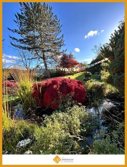 Eine Oase der Ruhe - Witzenhausen