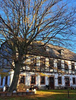 Gewerbefläche! - Ehemaliges Gasthaus mit Flair und vielen Optionen! - Seelitz
