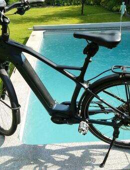 Simplon Chenoa Bosch CX Uni Carbon - Herne