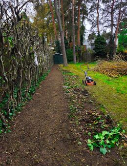 Professionelle Gartenarbeiten: Rasenpflege, Gehölzschnitt und Heckenservice in - Berlin Lichtenberg