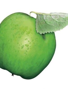 Schicke neu renovierte 2- Zi Wohnung mit EBK und Stellplatz - Weidenberg