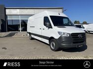 Mercedes Sprinter, 317 MAXI 4325 L3H2 MBUX, Jahr 2023 - Rottweil