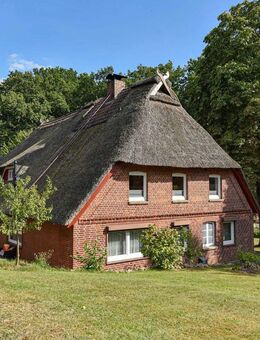 Landhaus mit Reet & Doppelgarage in idyllischer Naturlandschaft** - Soderstorf