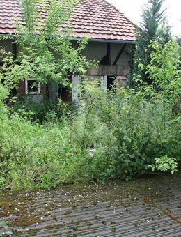 GESCHICK GEFRAGT - HANDWERKERPERLE - Herzberg (Harz)