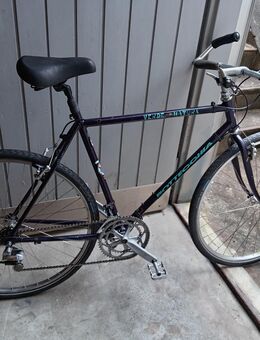 Bottecchia gravelbike 28 Zoll. 12 gang shimano. Cantilever bremsen. - Nürnberg