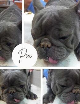 PIA PP die Seele will endlich ankommen - Neustadt (Rübenberge)