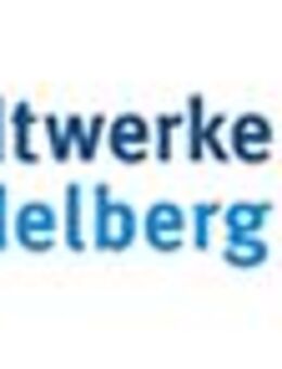 Experte (m/w/i) IT-Controlling und IT-Vertragsmanagement - Heidelberg