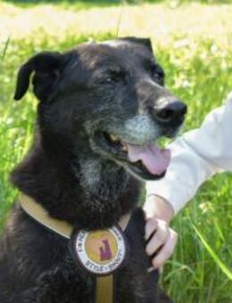 Zurly wartet schon lange auf dich! - München