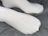 Getragene Socken und höschen - Parchim