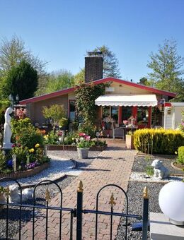 Exklusiver Ferien-Bungalow in Nordholland - Witten