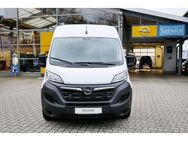 Opel Movano Cargo L3H2 3,5t Edition Allwetter - Meppen