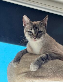 Mama Luna mit Sohn Loki - Ingelheim (Rhein)