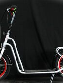 Trottinett der Marke Challenger, B25/191 in 5000