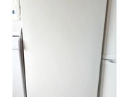 Gefrierschrank Weiß 6 Fächer Marke Liebherr - Bamberg