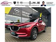 Mazda CX-5, 165 AWD Sports-Line TOP-ZUSTAND AUF, Jahr 2018 - Bedburg-Hau